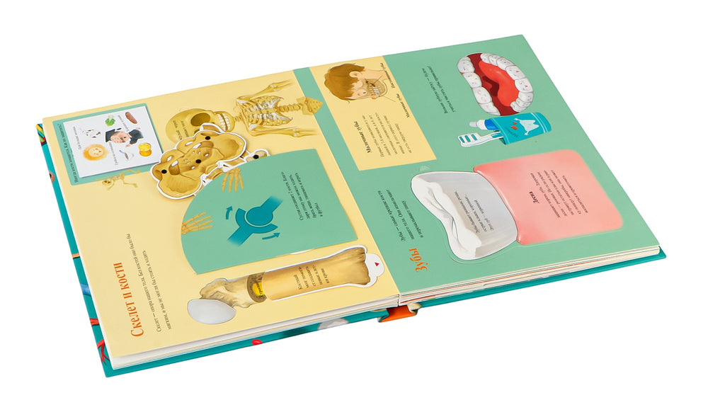 Все секреты человека