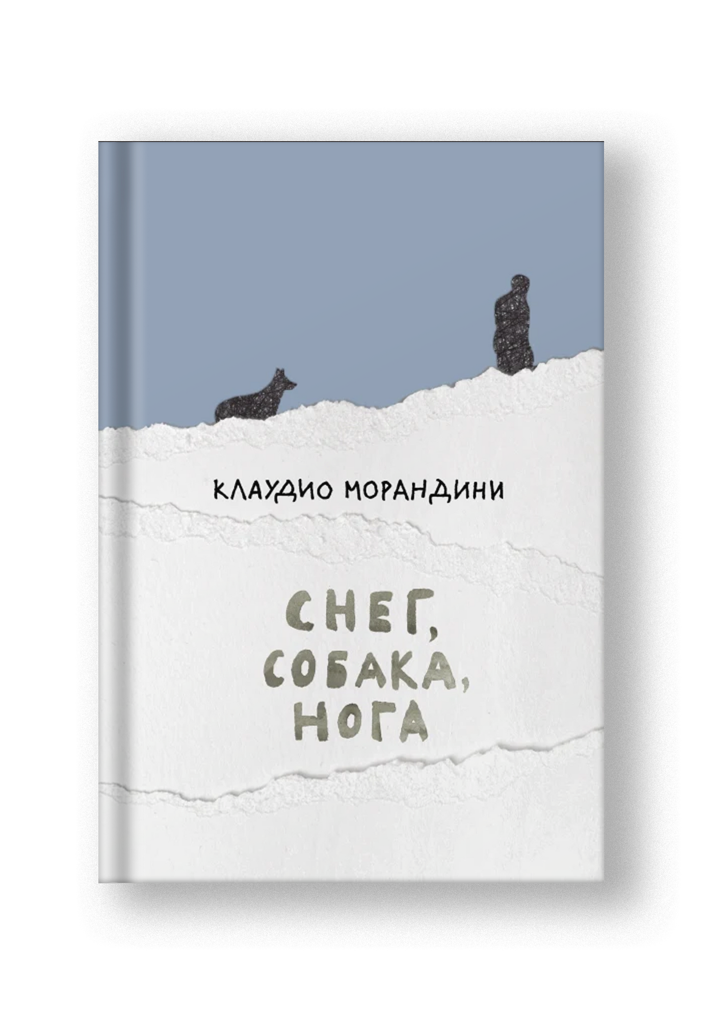 Снег, собака, нога