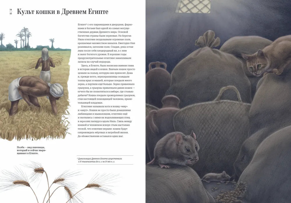 Как кошка приручила человека