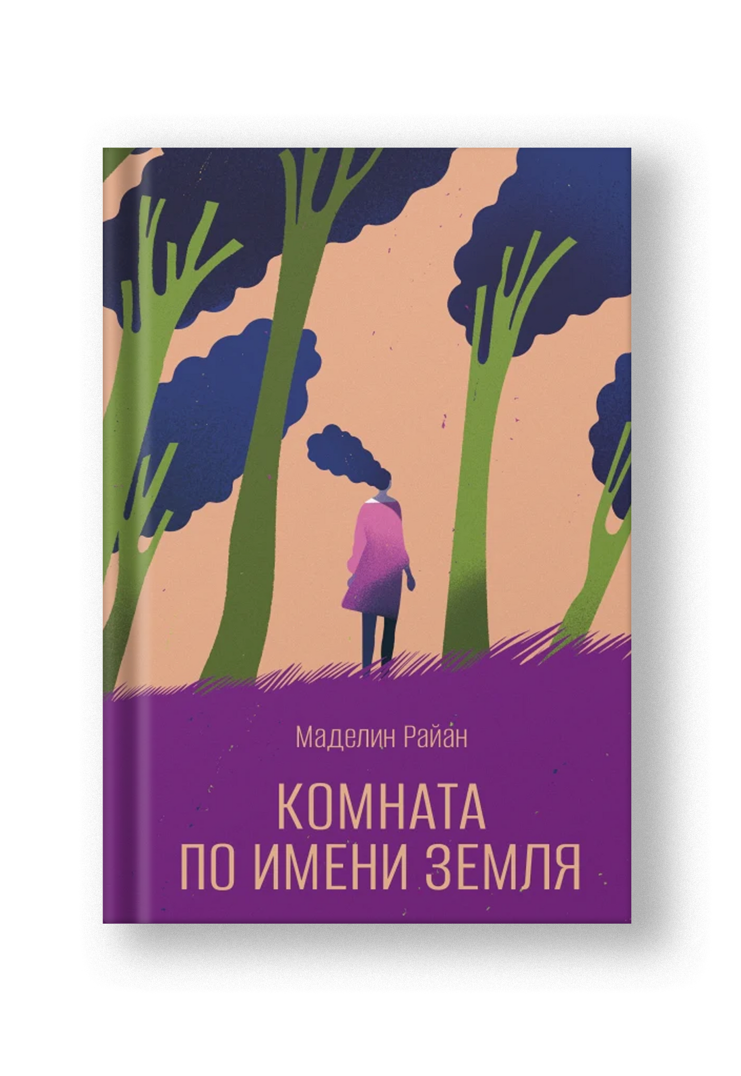 Комната по имени Земля