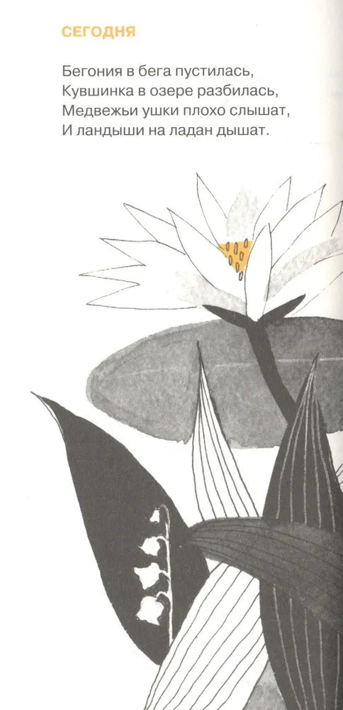 День дождения