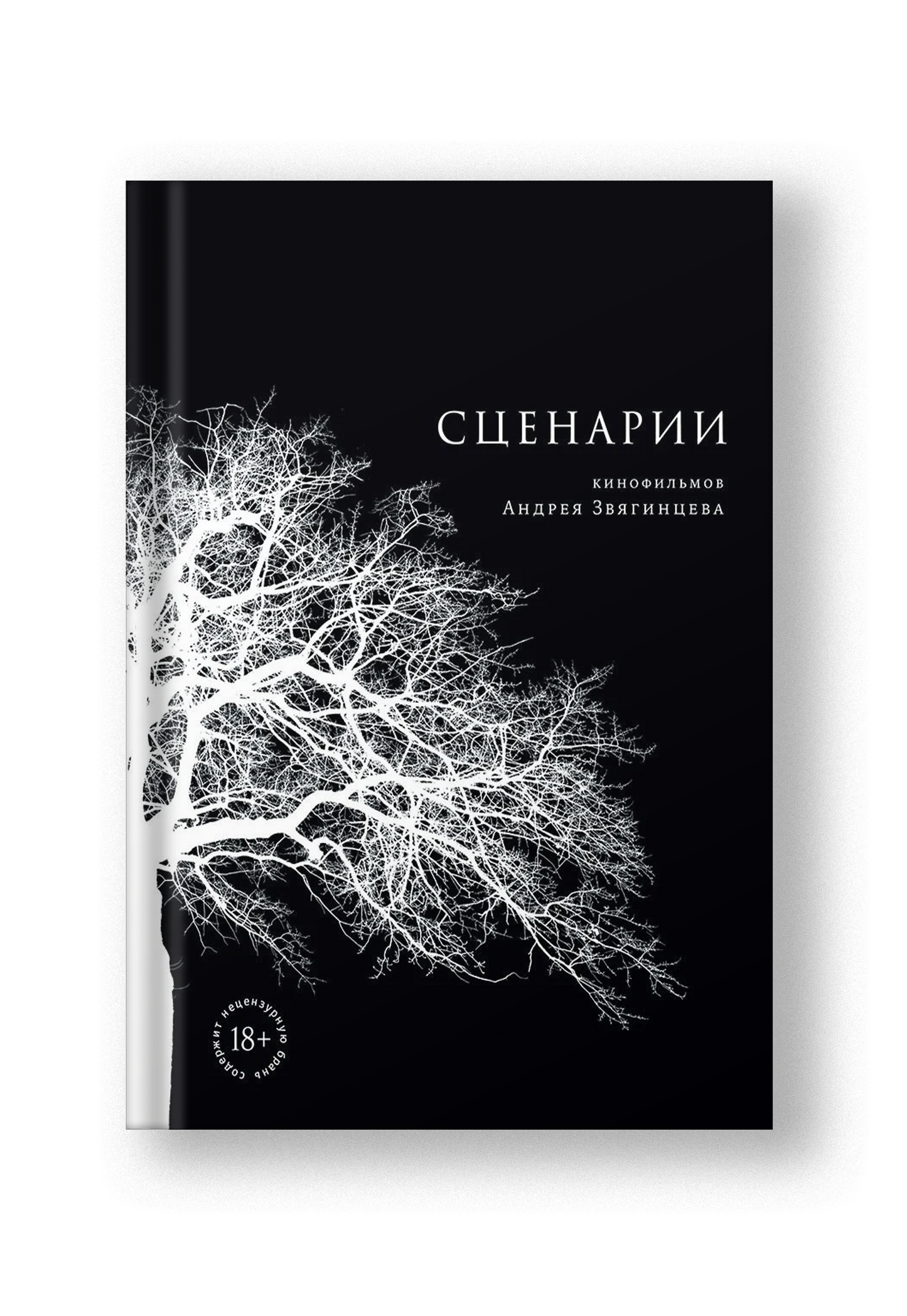 Сценарии кинофильмов Андрея Звягинцева