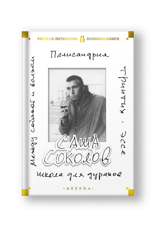 Школа для дураков. Между собакой и волком. Палисандрия. Эссе. Триптих