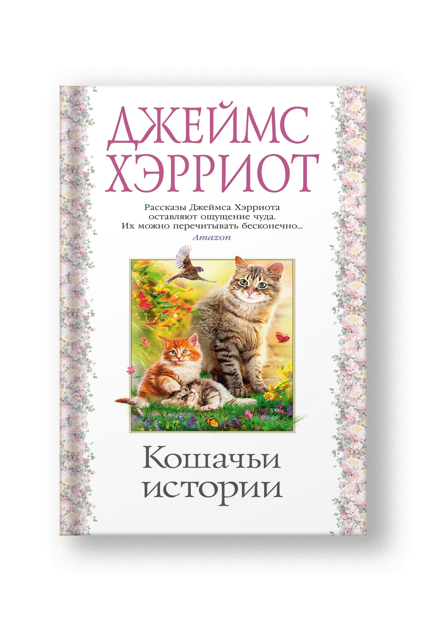 Кошачьи истории