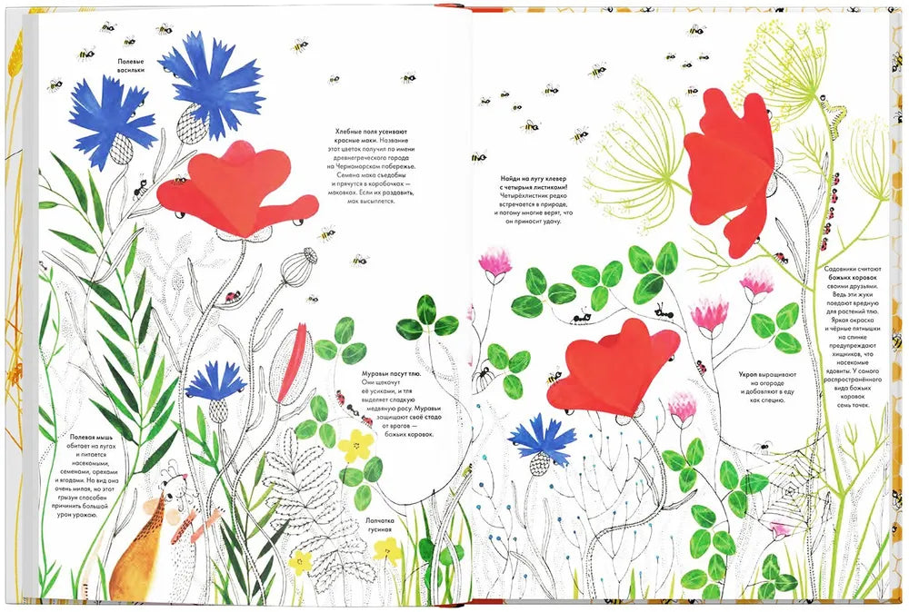 Тысяча и одна пчела