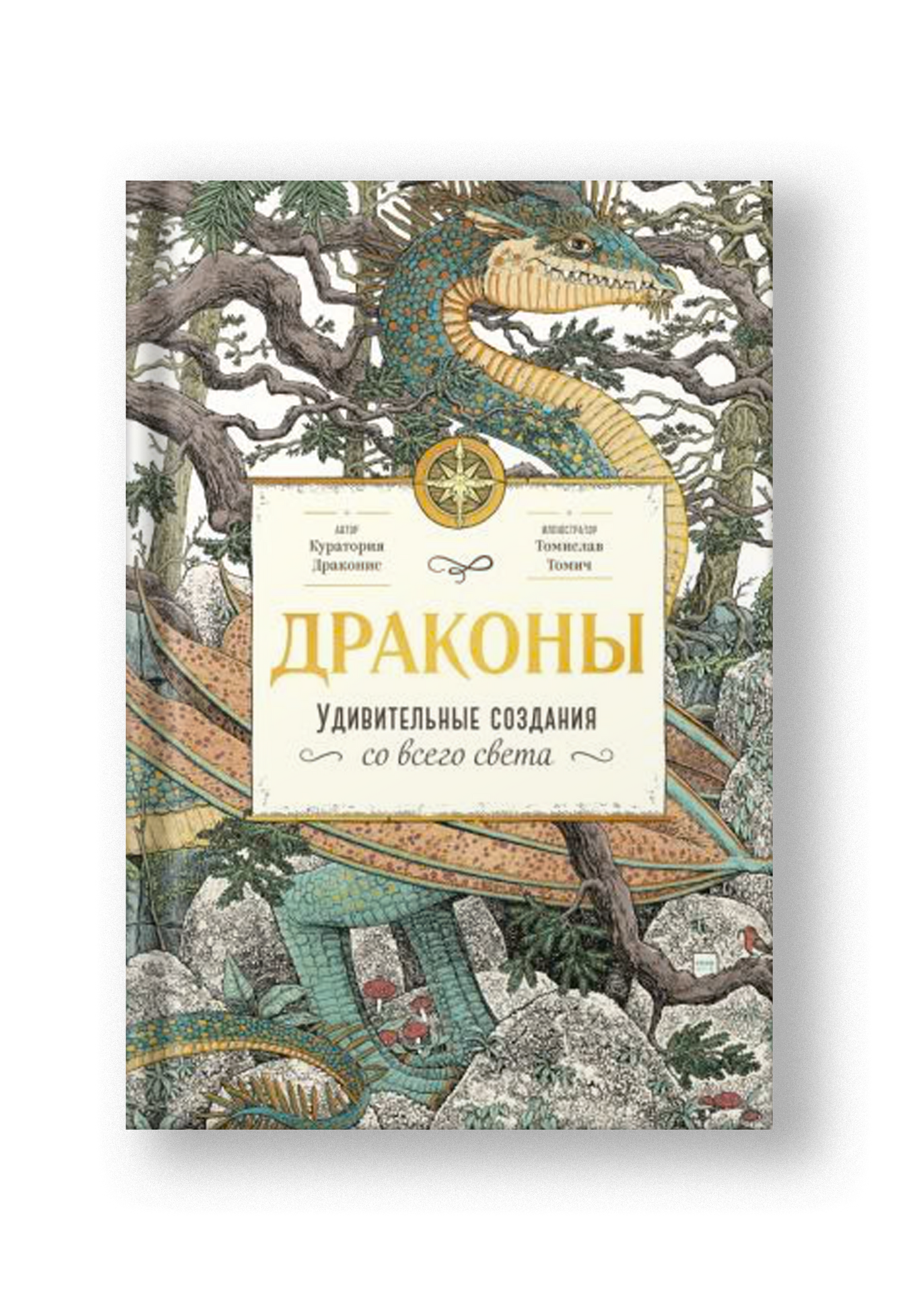 Драконы. Удивительные создания со всего света