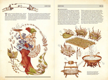 The Book. Как создать цивилизацию заново