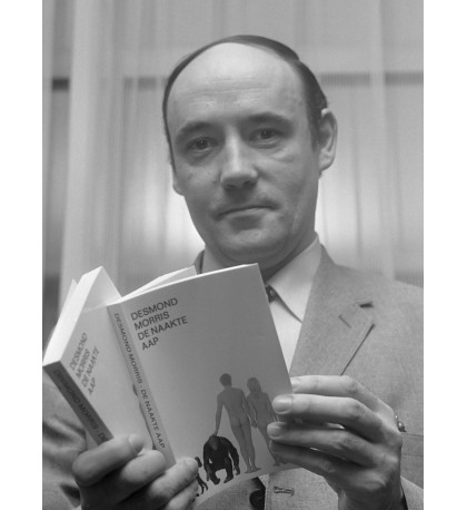 Morris Desmond