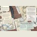 Драконы. Удивительные создания со всего света
