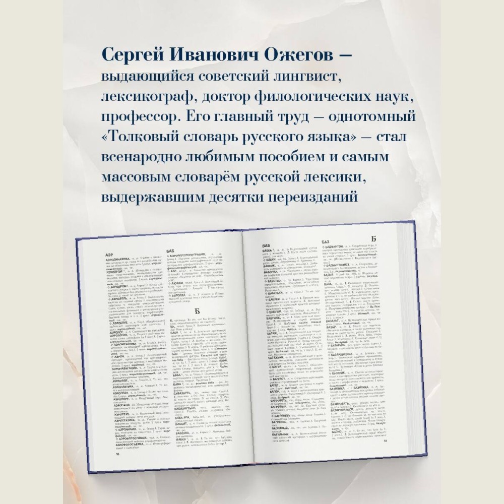 Толковый словарь русского языка: Ок. 100 000 слов, терминов и фразеологических выражений