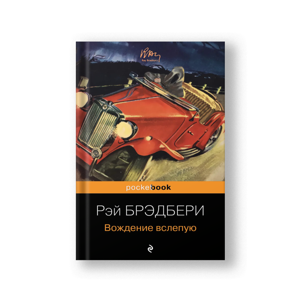 Driving Blind (Vozhdenie Vslepuyu)