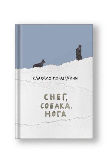 Снег, собака, нога