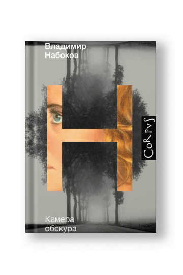 Камера обскура