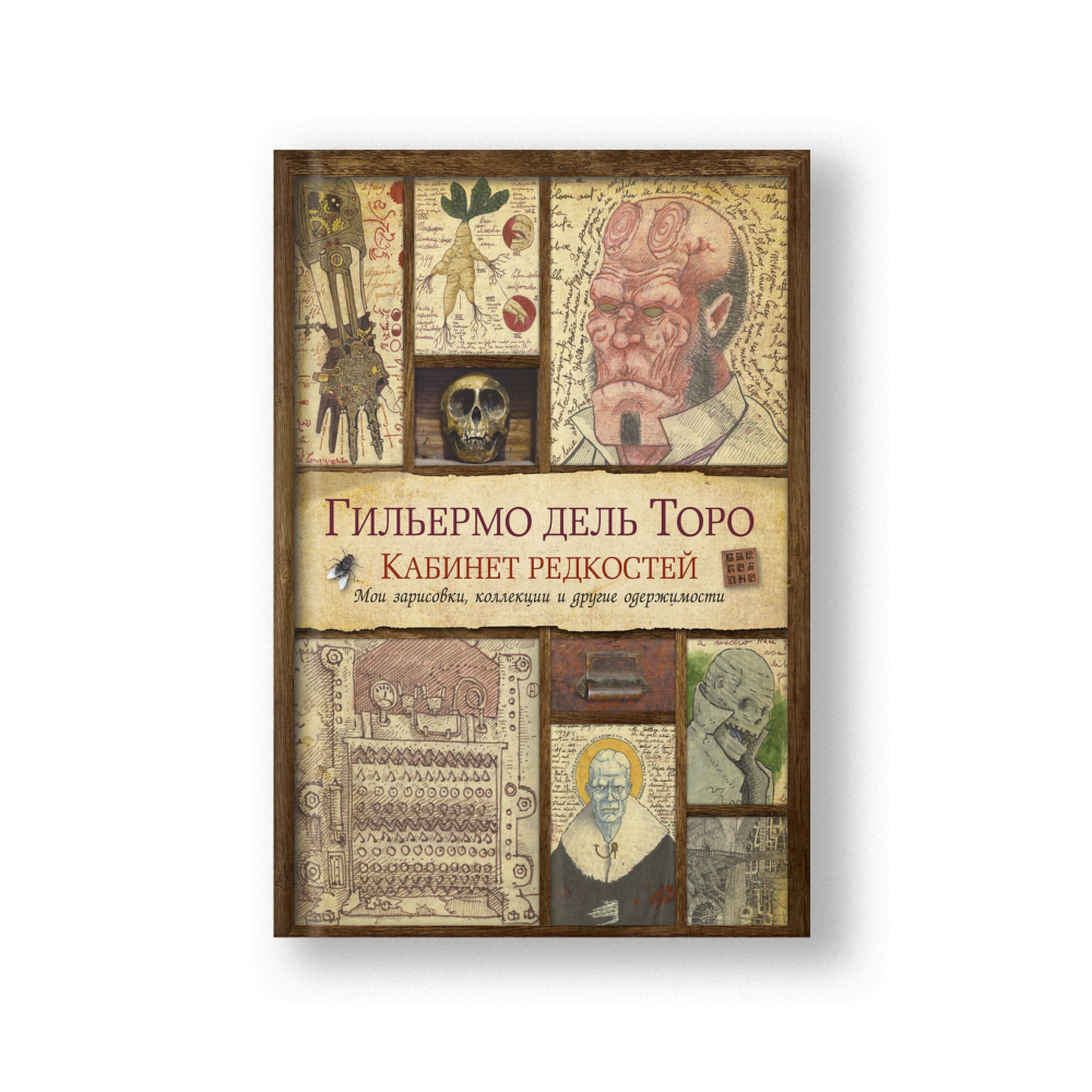Cabinet of Curiosities: My Notebooks, Collections, and Other Obsessions (Kabinet Redkostey)