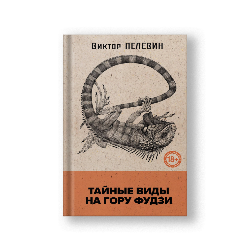 Тайные виды на гору Фудзи + стикеры